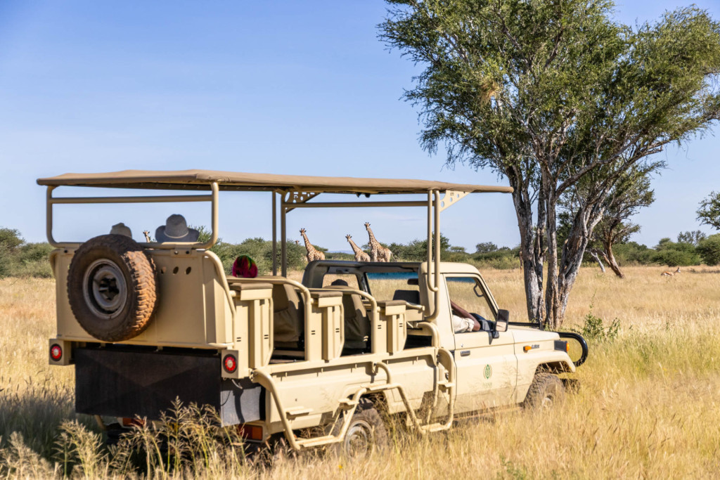 Game Drives