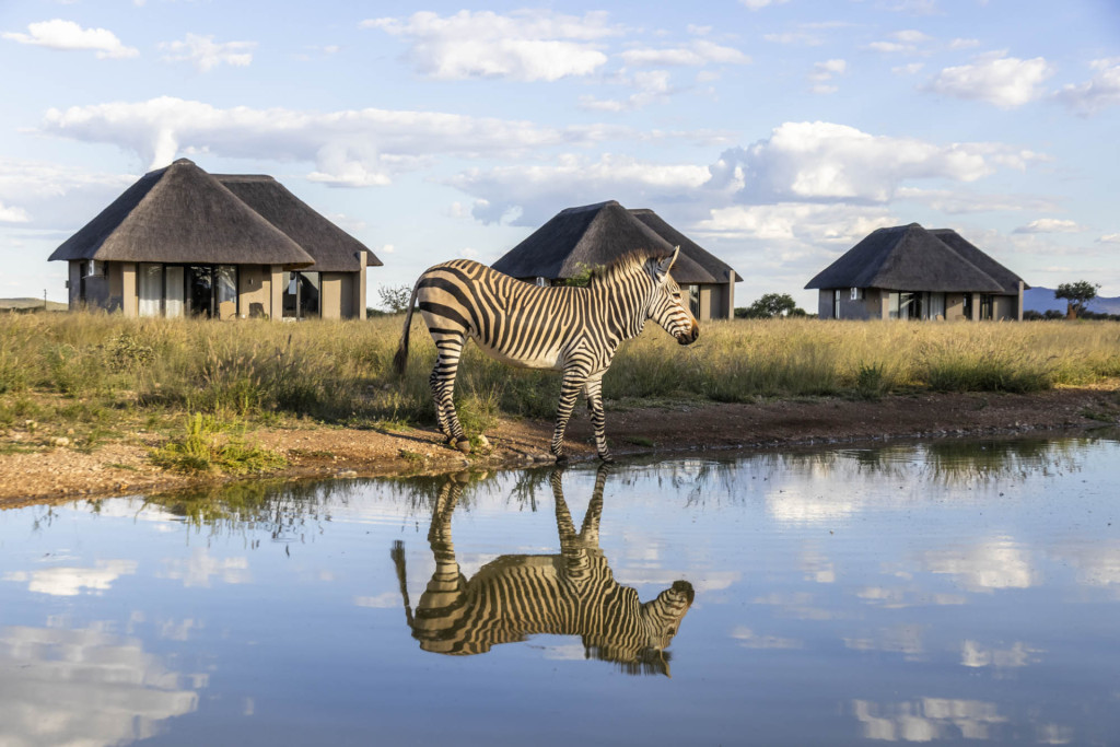 Waterhole Suites