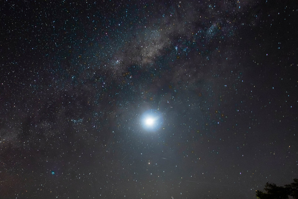 Stargazing & Birding