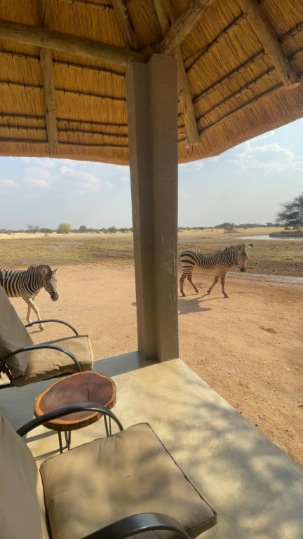 Waterhole Suites