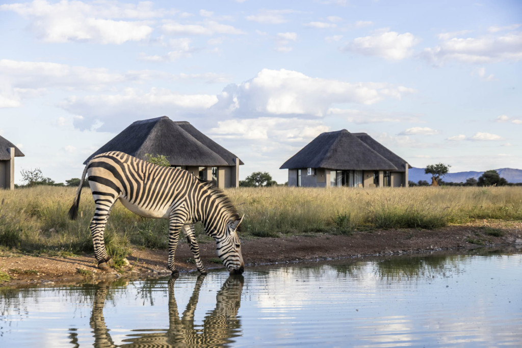 Waterhole Suites