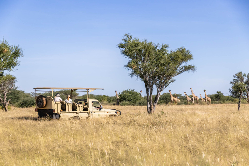 Game Drives