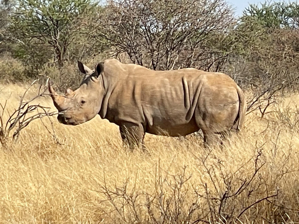 Rhino Tracking