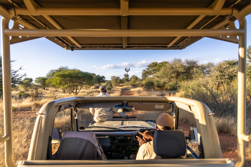Game Drives