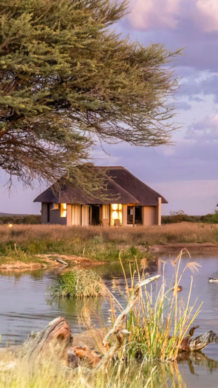 Waterhole Suites